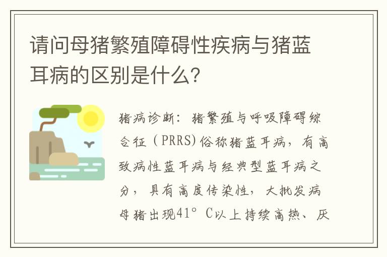 请问母猪繁殖障碍性疾病与猪蓝耳病的区别是什么？