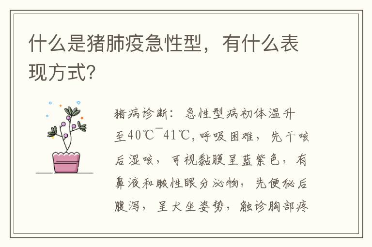 什么是猪肺疫急性型，有什么表现方式？