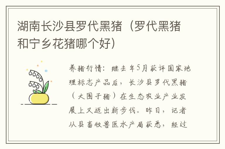 湖南长沙县罗代黑猪（罗代黑猪和宁乡花猪哪个好）