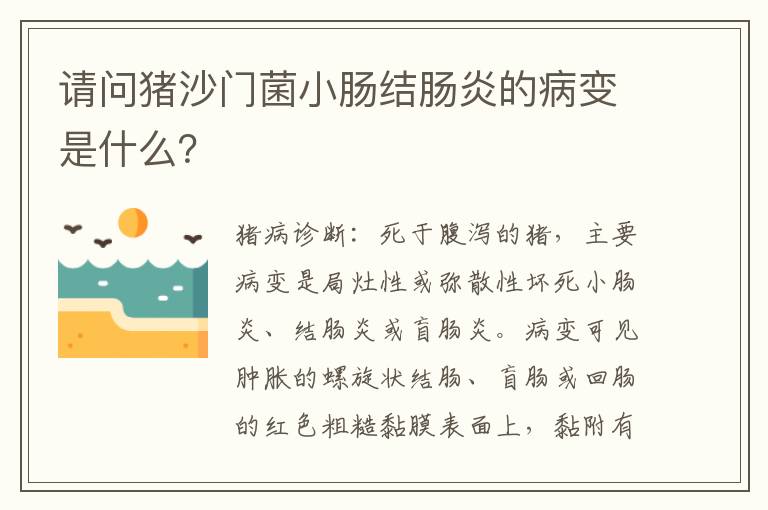 请问猪沙门菌小肠结肠炎的病变是什么？