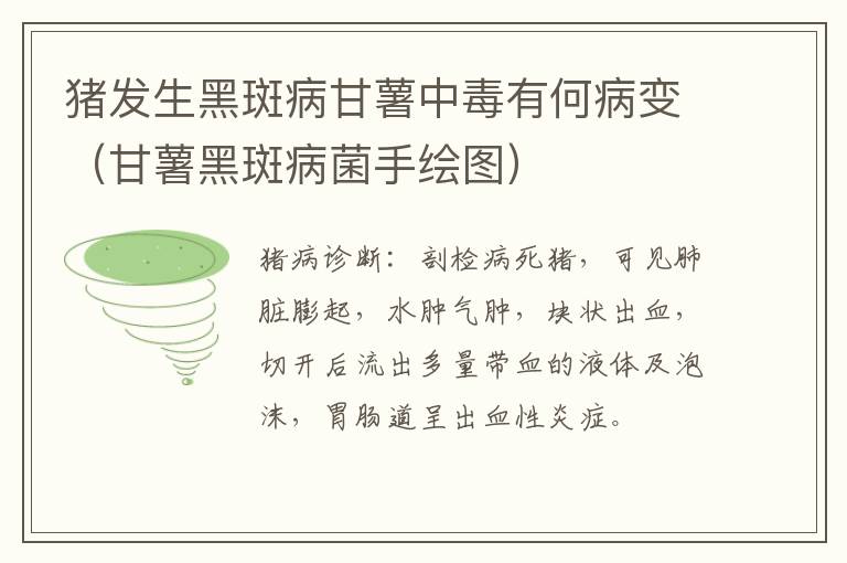 猪发生黑斑病甘薯中毒有何病变（甘薯黑斑病菌手绘图）