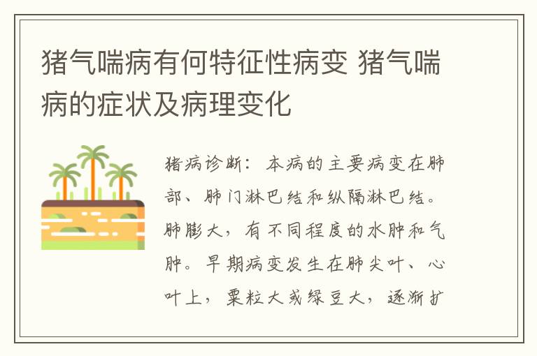 猪气喘病有何特征性病变 猪气喘病的症状及病理变化