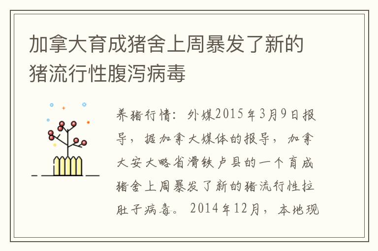 加拿大育成猪舍上周暴发了新的猪流行性腹泻病毒