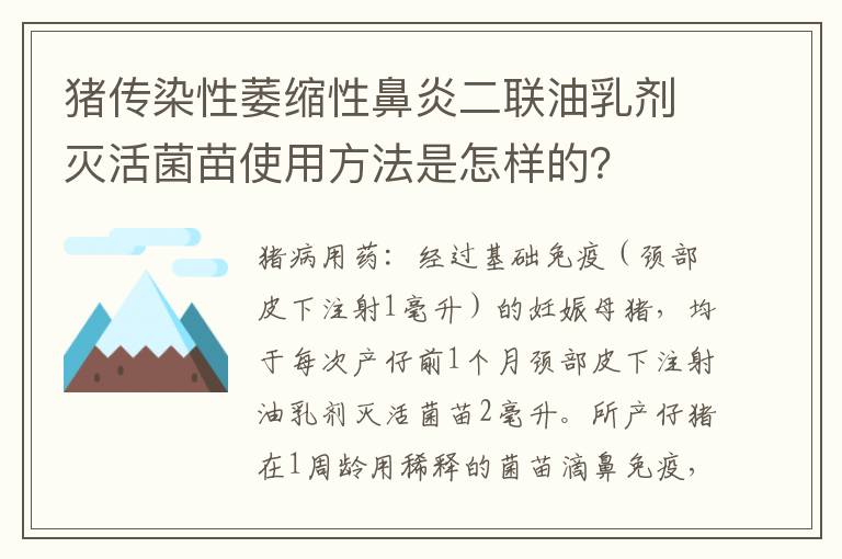 猪传染性萎缩性鼻炎二联油乳剂灭活菌苗使用方法是怎样的？