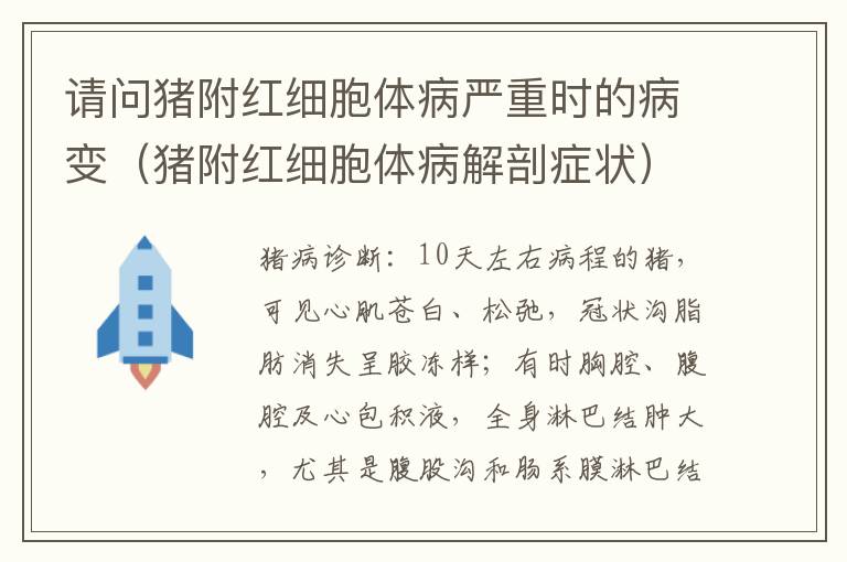 请问猪附红细胞体病严重时的病变（猪附红细胞体病解剖症状）
