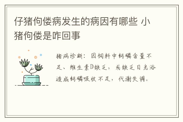 仔猪佝偻病发生的病因有哪些 小猪佝偻是咋回事