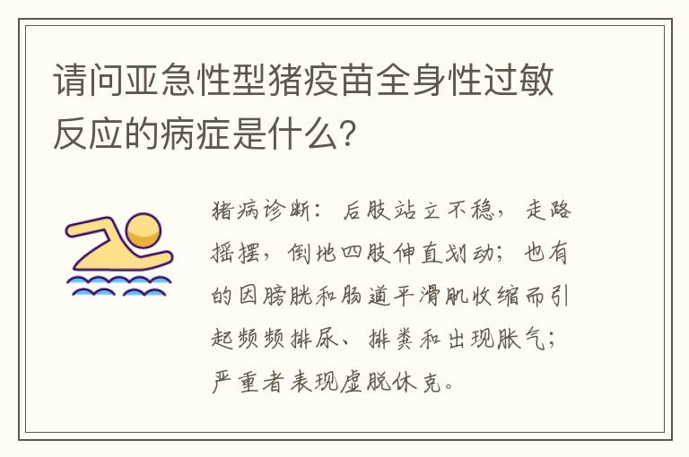 请问亚急性型猪疫苗全身性过敏反应的病症是什么？