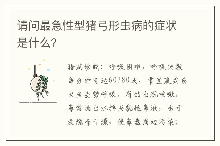 请问最急性型猪弓形虫病的症状是什么？