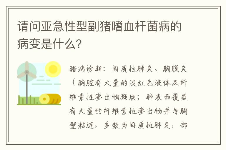 请问亚急性型副猪嗜血杆菌病的病变是什么？