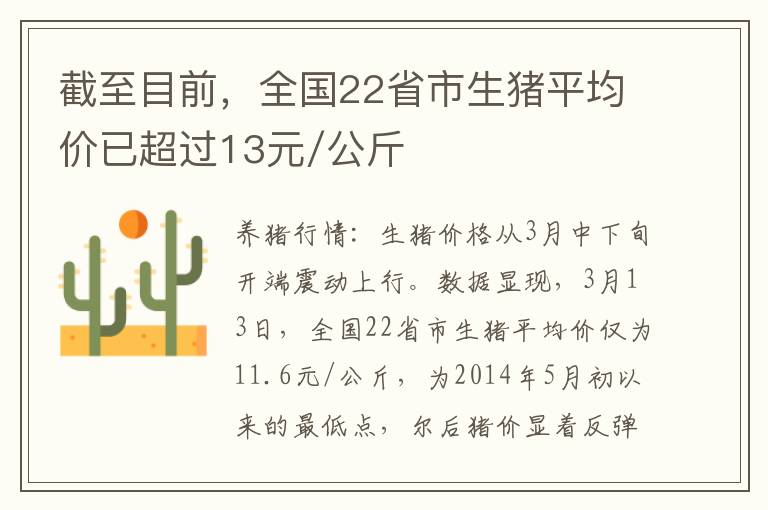 截至目前，全国22省市生猪平均价已超过13元/公斤