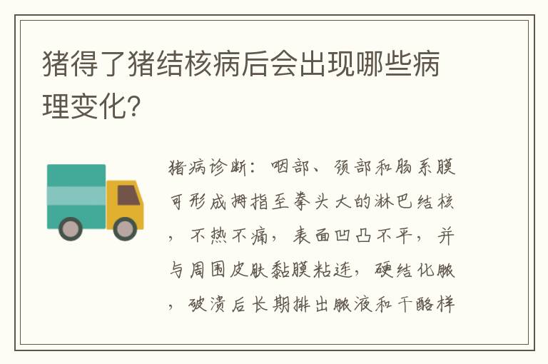 猪得了猪结核病后会出现哪些病理变化？