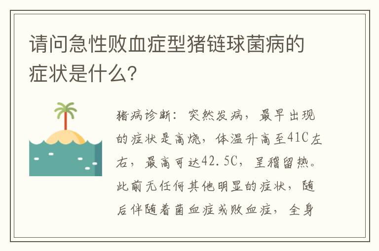 请问急性败血症型猪链球菌病的症状是什么？