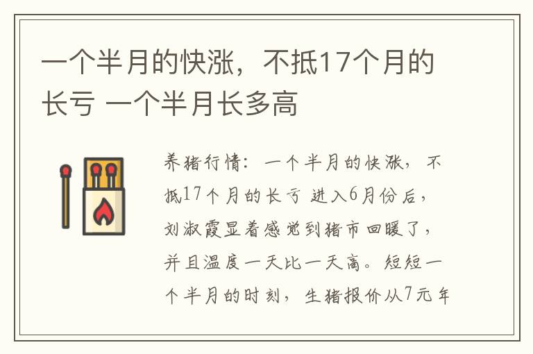 一个半月的快涨，不抵17个月的长亏 一个半月长多高