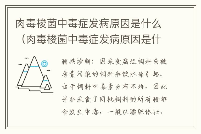 肉毒梭菌中毒症发病原因是什么（肉毒梭菌中毒症发病原因是什么引起的）