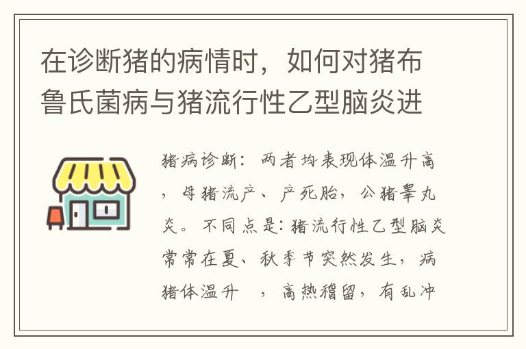 在诊断猪的病情时，如何对猪布鲁氏菌病与猪流行性乙型脑炎进行鉴