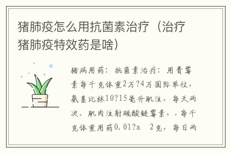 猪肺疫怎么用抗菌素治疗（治疗猪肺疫特效药是啥）