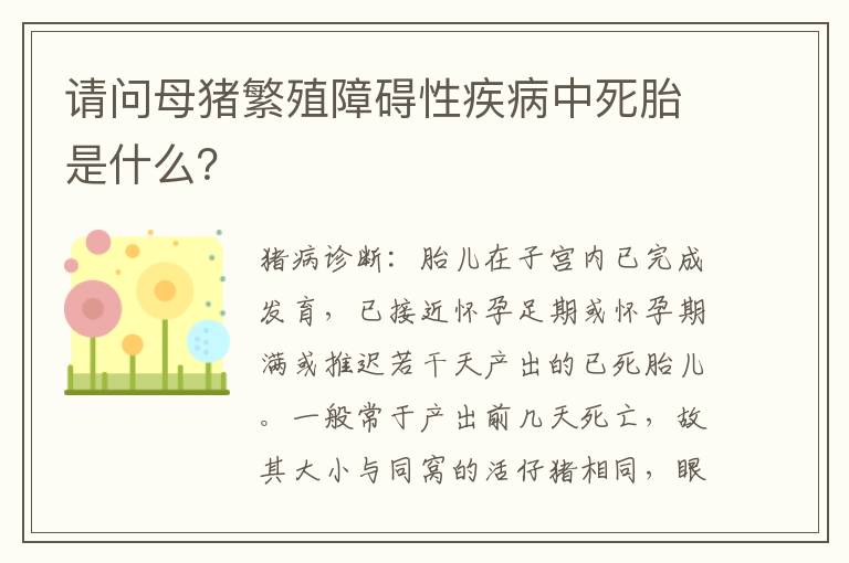 请问母猪繁殖障碍性疾病中死胎是什么？
