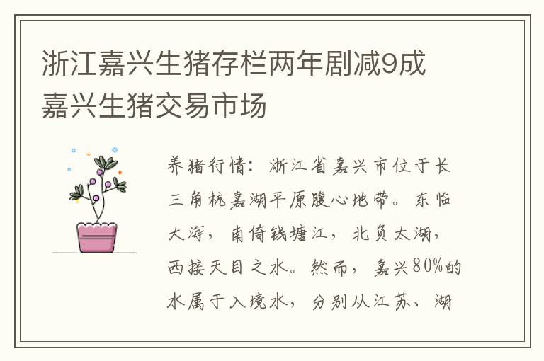 浙江嘉兴生猪存栏两年剧减9成 嘉兴生猪交易市场