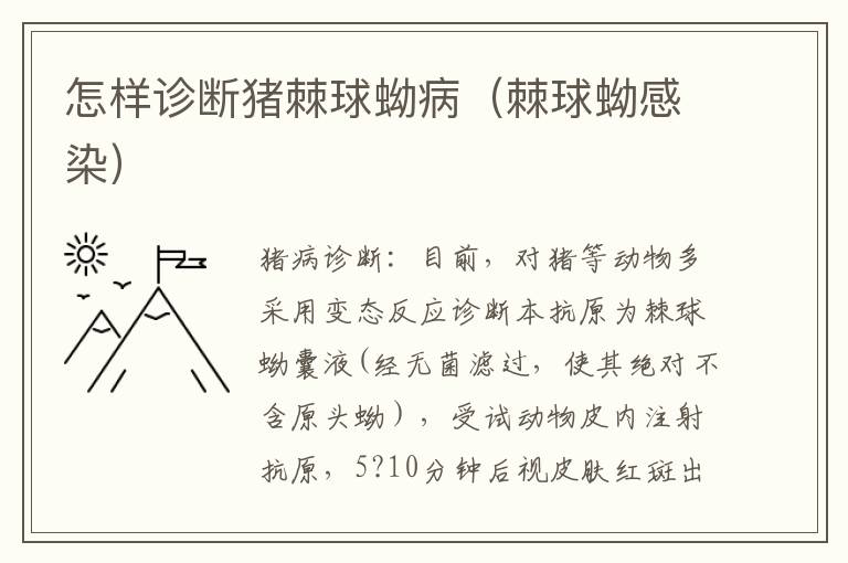 怎样诊断猪棘球蚴病（棘球蚴感染）