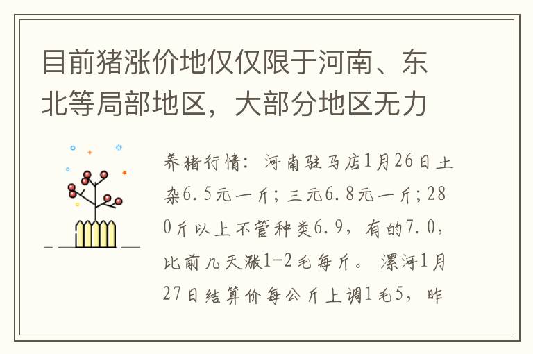 目前猪涨价地仅仅限于河南、东北等局部地区，大部分地区无力反弹
