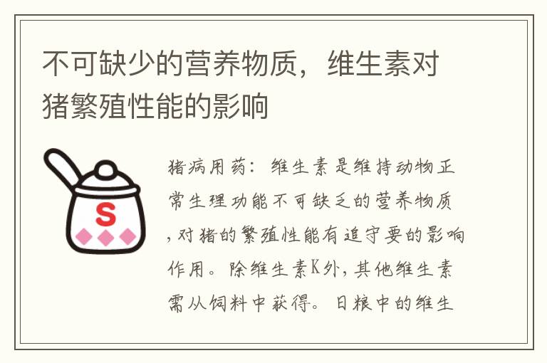 不可缺少的营养物质，维生素对猪繁殖性能的影响