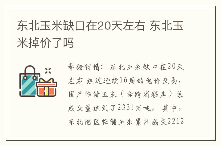 东北玉米缺口在20天左右 东北玉米掉价了吗