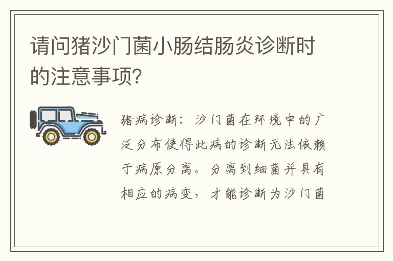 请问猪沙门菌小肠结肠炎诊断时的注意事项？