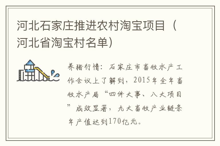 河北石家庄推进农村淘宝项目（河北省淘宝村名单）