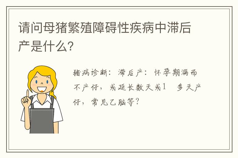请问母猪繁殖障碍性疾病中滞后产是什么？