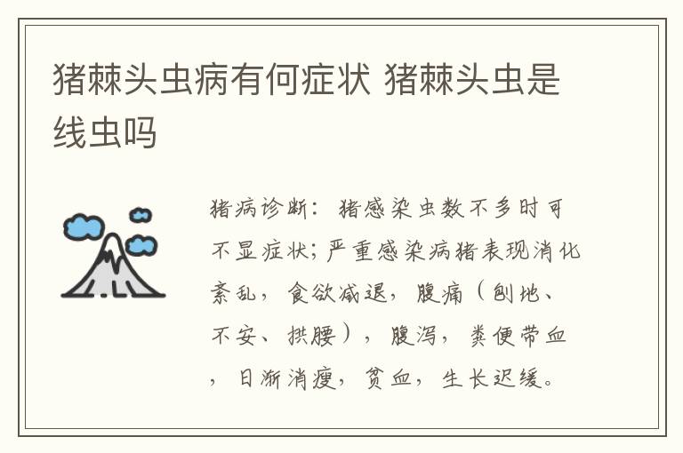 猪棘头虫病有何症状 猪棘头虫是线虫吗