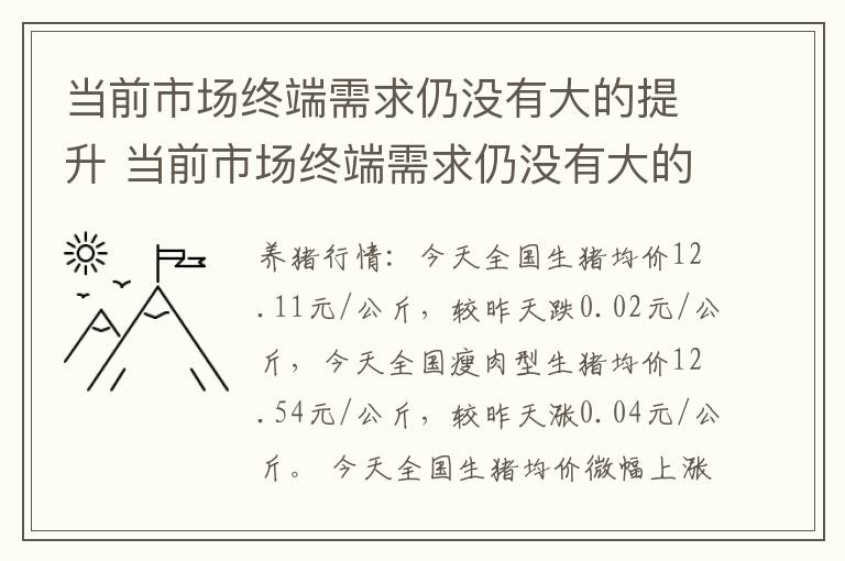 当前市场终端需求仍没有大的提升 当前市场终端需求仍没有大的提升怎么办