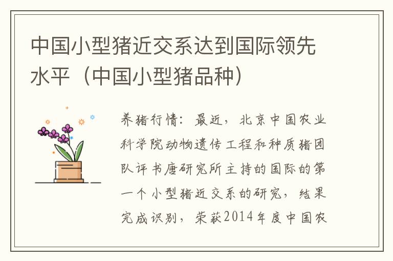 中国小型猪近交系达到国际领先水平（中国小型猪品种）
