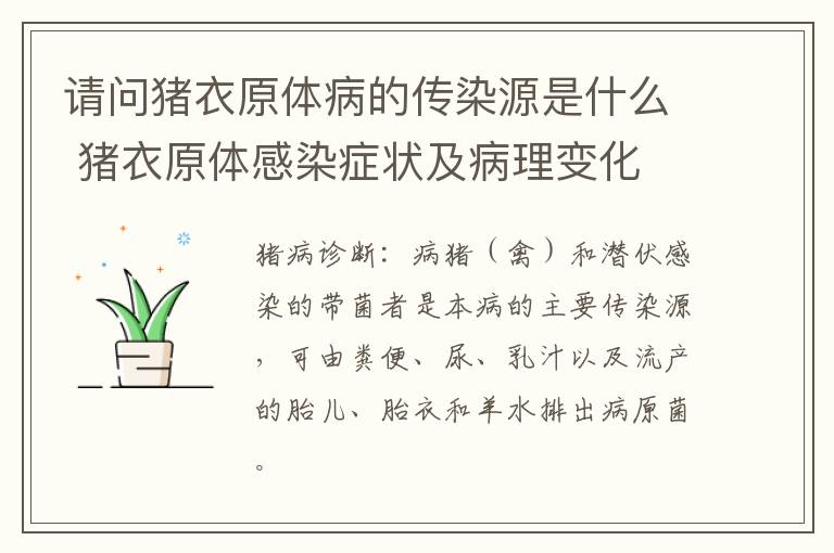 请问猪衣原体病的传染源是什么 猪衣原体感染症状及病理变化