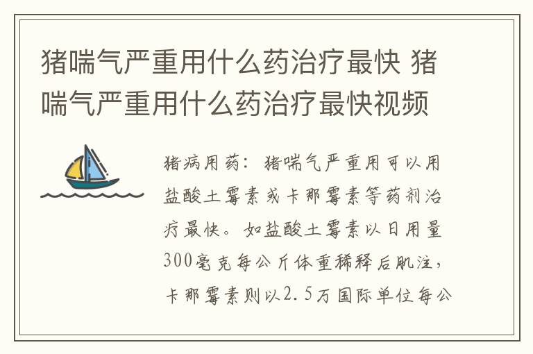 猪喘气严重用什么药治疗最快 猪喘气严重用什么药治疗最快视频