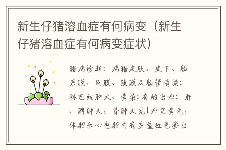 新生仔猪溶血症有何病变（新生仔猪溶血症有何病变症状）