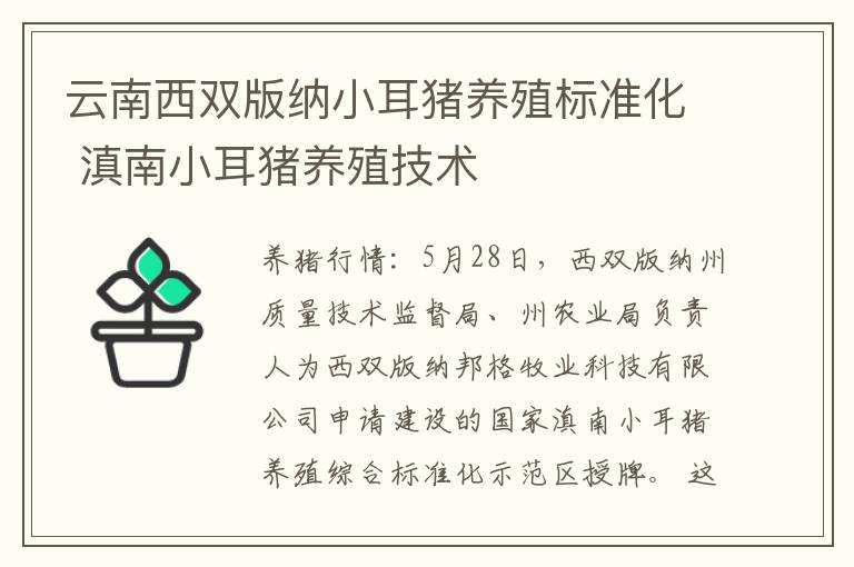 云南西双版纳小耳猪养殖标准化 滇南小耳猪养殖技术
