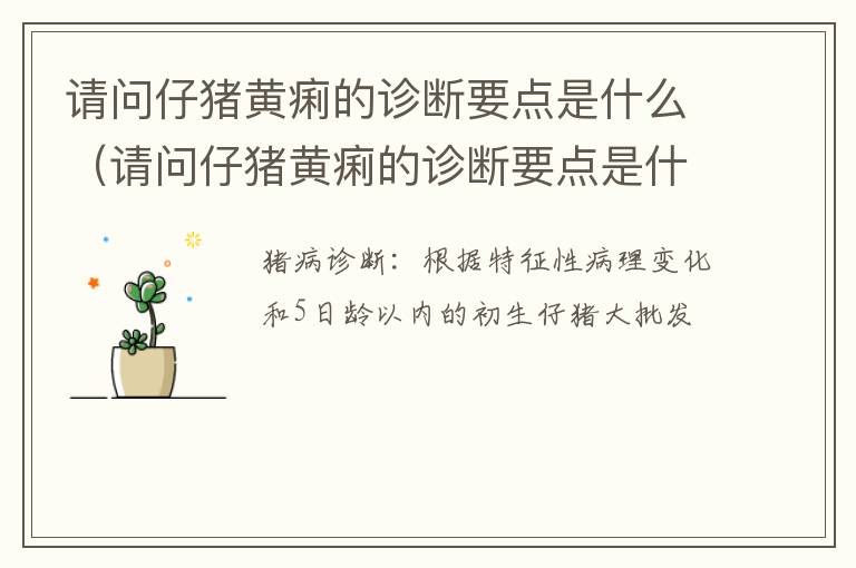 请问仔猪黄痢的诊断要点是什么（请问仔猪黄痢的诊断要点是什么意思）