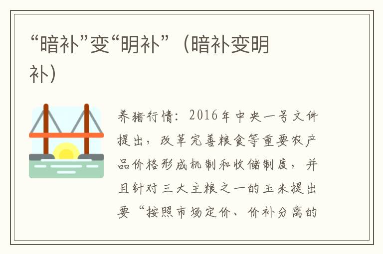 “暗补”变“明补”（暗补变明补）