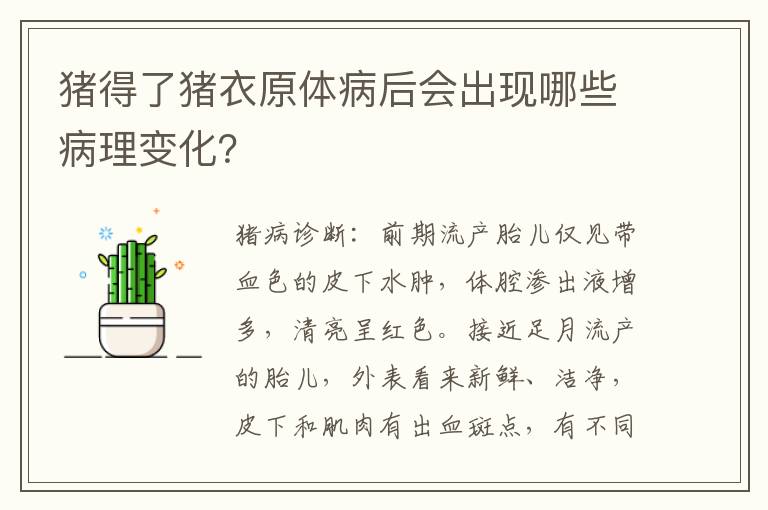 猪得了猪衣原体病后会出现哪些病理变化？