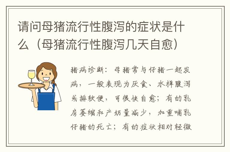 请问母猪流行性腹泻的症状是什么（母猪流行性腹泻几天自愈）