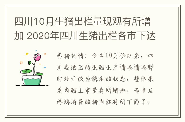四川10月生猪出栏量现观有所增加 2020年四川生猪出栏各市下达