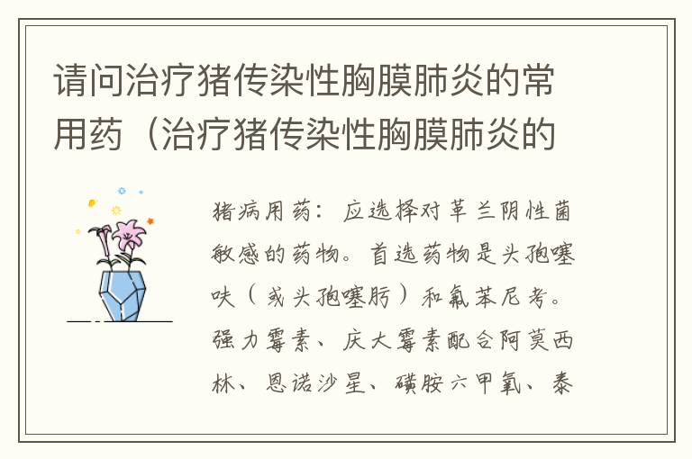 请问治疗猪传染性胸膜肺炎的常用药（治疗猪传染性胸膜肺炎的最佳良药）