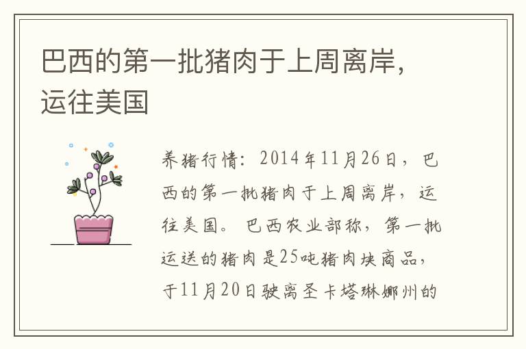 巴西的第一批猪肉于上周离岸，运往美国