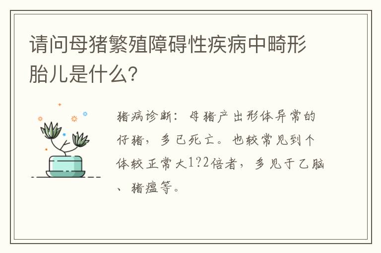 请问母猪繁殖障碍性疾病中畸形胎儿是什么？