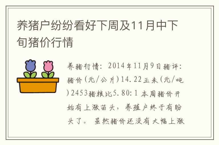 养猪户纷纷看好下周及11月中下旬猪价行情
