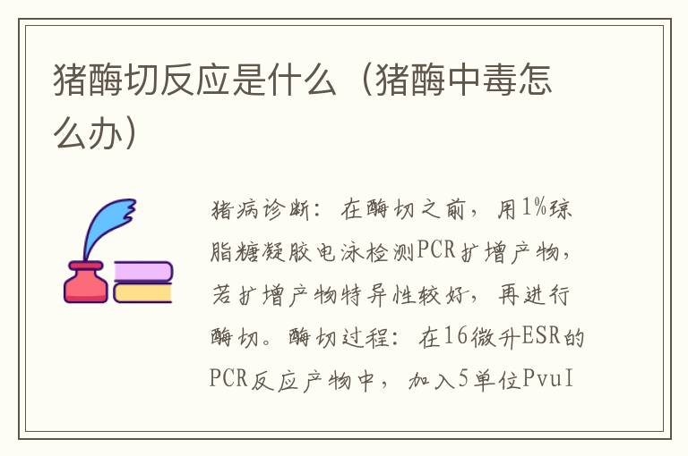 猪酶切反应是什么（猪酶中毒怎么办）