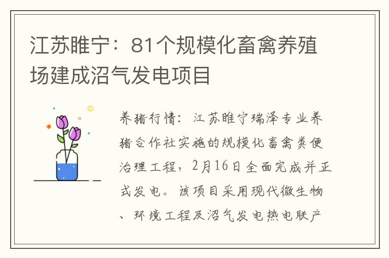 江苏睢宁：81个规模化畜禽养殖场建成沼气发电项目