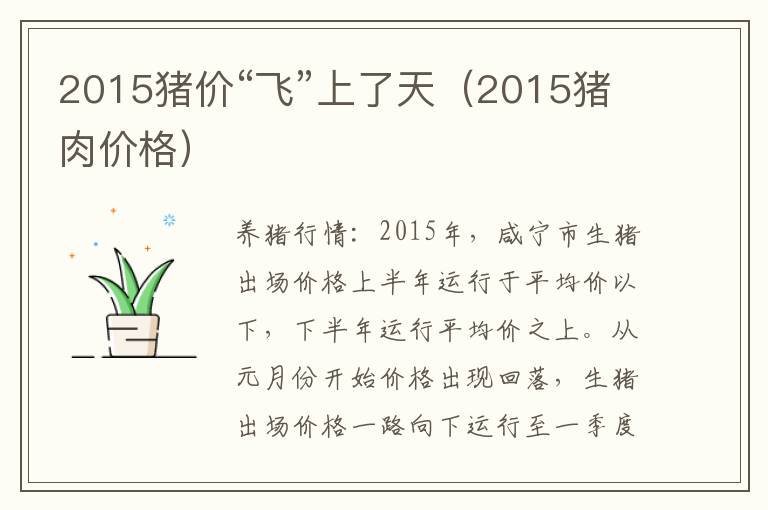 2015猪价“飞”上了天（2015猪肉价格）