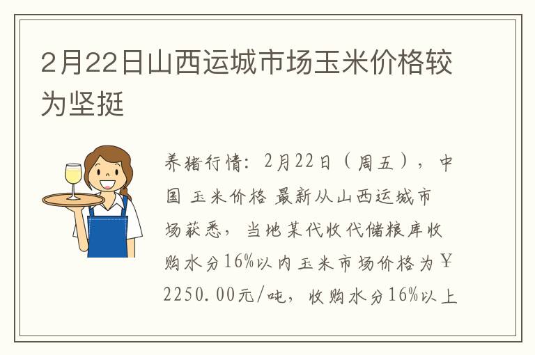 2月22日山西运城市场玉米价格较为坚挺