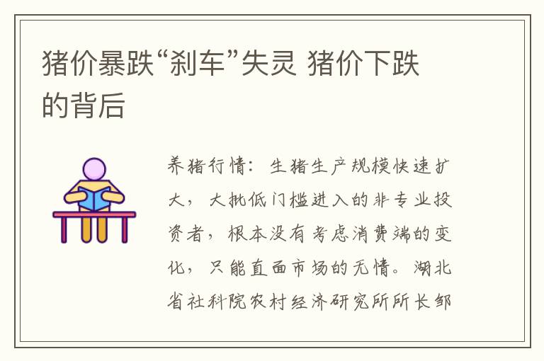猪价暴跌“刹车”失灵 猪价下跌的背后